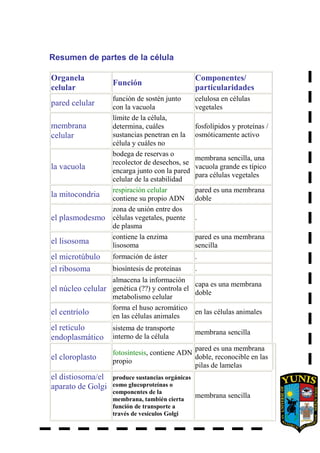 Resumen de partes de la célula
Organela
celular
Función
Componentes/
particularidades
pared celular
función de sostén junto
con la vacuola
celulosa en células
vegetales
membrana
celular
límite de la célula,
determina, cuáles
sustancias penetran en la
célula y cuáles no
fosfolípidos y proteínas /
osmóticamente activo
la vacuola
bodega de reservas o
recolector de desechos, se
encarga junto con la pared
celular de la estabilidad
membrana sencilla, una
vacuola grande es típico
para células vegetales
la mitocondria
respiración celular
contiene su propio ADN
pared es una membrana
doble
el plasmodesmo
zona de unión entre dos
células vegetales, puente
de plasma
.
el lisosoma
contiene la enzima
lisosoma
pared es una membrana
sencilla
el microtúbulo formación de áster .
el ribosoma biosíntesis de proteínas .
el núcleo celular
almacena la información
genética (??) y controla el
metabolismo celular
capa es una membrana
doble
el centríolo
forma el huso acromático
en las células animales
en las células animales
el retículo
endoplasmático
sistema de transporte
interno de la célula
membrana sencilla
el cloroplasto
fotosíntesis, contiene ADN
propio
pared es una membrana
doble, reconocible en las
pilas de lamelas
el distiosoma/el
aparato de Golgi
produce sustancias orgánicas
como glucoproteínas o
componentes de la
membrana, también cierta
función de transporte a
través de vesículos Golgi
membrana sencilla
 