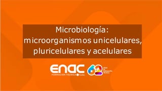 Nta Daniela Fuentes 2022
Microbiología:
microorganismos unicelulares,
pluricelulares y acelulares
 