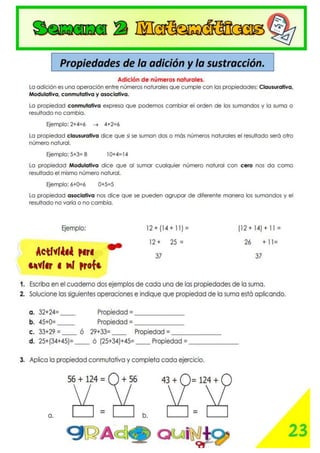 Semana 2 de matematicas primer periodo..pdf
