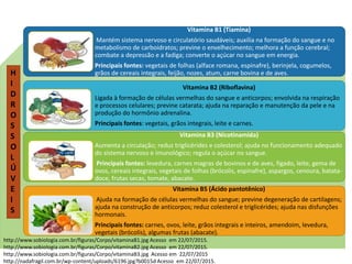 Vitamina B1 (Tiamina)
Mantém sistema nervoso e circulatório saudáveis; auxilia na formação do sangue e no
metabolismo de carboidratos; previne o envelhecimento; melhora a função cerebral;
combate a depressão e a fadiga; converte o açúcar no sangue em energia.
Principais fontes: vegetais de folhas (alface romana, espinafre), berinjela, cogumelos,
grãos de cereais integrais, feijão, nozes, atum, carne bovina e de aves.
Vitamina B2 (Riboflavina)
Ligada à formação de células vermelhas do sangue e anticorpos; envolvida na respiração
e processos celulares; previne catarata; ajuda na reparação e manutenção da pele e na
produção do hormônio adrenalina.
Principais fontes: vegetais, grãos integrais, leite e carnes.
Vitamina B3 (Nicotinamida)
Aumenta a circulação; reduz triglicérides e colesterol; ajuda no funcionamento adequado
do sistema nervoso e imunológico; regula o açúcar no sangue.
Principais fontes: levedura, carnes magras de bovinos e de aves, fígado, leite, gema de
ovos, cereais integrais, vegetais de folhas (brócolis, espinafre), aspargos, cenoura, batata-
doce, frutas secas, tomate, abacate.
Vitamina B5 (Ácido pantotênico)
Ajuda na formação de células vermelhas do sangue; previne degeneração de cartilagens;
ajuda na construção de anticorpos; reduz colesterol e triglicérides; ajuda nas disfunções
hormonais.
Principais fontes: carnes, ovos, leite, grãos integrais e inteiros, amendoim, levedura,
vegetais (brócolis), algumas frutas (abacate).
http://www.sobiologia.com.br/figuras/Corpo/vitaminaB1.jpg Acesso em 22/07/2015.
http://www.sobiologia.com.br/figuras/Corpo/vitaminaB2.jpg Acesso em 22/07/2015.
http://www.sobiologia.com.br/figuras/Corpo/vitaminaB3.jpg Acesso em 22/07/2015
http://nadafragil.com.br/wp-content/uploads/6196.jpg?b0015d Acesso em 22/07/2015.
H
I
D
R
O
S
S
O
L
Ú
V
E
I
S
Ciências , 8º ano, Classificação dos alimentos de acordo
com sua composição química.
 