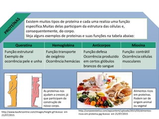 Existem muitos tipos de proteína e cada uma realiza uma função
específica.Muitas delas participam da estrutura das células e,
consequentemente, do corpo.
Veja alguns exemplos de proteínas e suas funções na tabela abaixo:
Queratina Hemoglobina Anticorpos Miosina
Função:estrutural
Exemplo de
ocorrência:pele e unha
Função:transporte
de oxigênio
Ocorrência:hemácias
Função:defesa
Ocorrência:produzido
em certos glóbulos
brancos do sangue
Função: contrátil
Ocorrência:células
musculares
http://corpoeestetica.com/wpcontent/uploads/2015/03/alimentos-
ricos-em-proteina.jpg Acesso em 21/07/2015
http://www.kaufersonline.com/Images/height.gif Acesso em
21/07/2015
As proteínas nos
ajudam a crescer, já
que participam da
construção de
nosso corpo.
Alimentos ricos
em proteínas.
Podem ser de
origem animal
ou vegetal
 