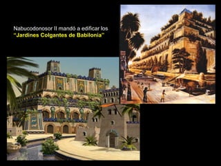 Nabucodonosor II mandó a edificar los
“Jardines Colgantes de Babilonia”
 