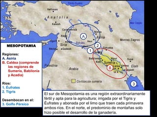 A

  MESOPOTAMIA                                          2
                                                   1
Regiones:
A. Asiria
B. Caldea (comprende
    las regiones de                                           B
    Sumeria, Babilonia
    y Acadia)

Ríos:                                                                       3
1. Éufrates
2. Tigris
                         El sur de Mesopotamia es una región extraordinariamente
Desembocan en el:        fértil y apta para la agricultura; irrigada por el Tigris y
3. Golfo Pérsico         Éufrates y abonada por el limo que traen cada primavera
                         ambos ríos. En el norte, el predominio de montañas solo
                         hizo posible el desarrollo de la ganadería.
 