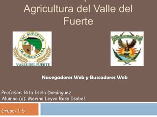 Agricultura del Valle del
                  Fuerte




                 Navegadores Web y Buscadores Web

Profesor: Rita Isela Domínguez
Alumno (a): Merino Leyva Rosa Isabel

Grupo: 1-5
 