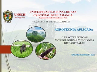 RealPontificiay Nacional
1967
UNIVERSIDAD NACIONAL DE SAN
CRISTÓBAL DE HUAMANGA
Segunda universidad fundada en el Perú
FACULTAD DE CIENCIAS AGRARIAS
 