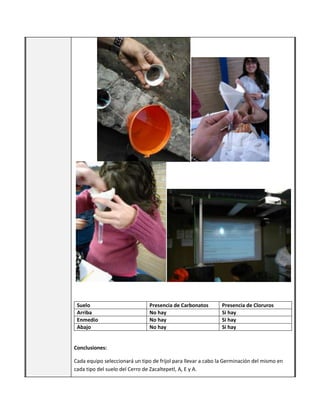 Suelo
Arriba
Enmedio
Abajo

Presencia de Carbonatos
No hay
No hay
No hay

Presencia de Cloruros
Si hay
Si hay
Si hay

Conclusiones:
Cada equipo seleccionará un tipo de frijol para llevar a cabo la Germinación del mismo en
cada tipo del suelo del Cerro de Zacaltepetl, A, E y A.

 