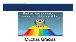 Muchas Gracias