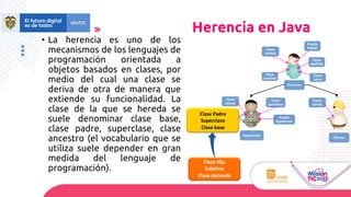 Semana 3 Herencia en Java | PDF
