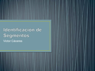 Identificación de Segmentos,[object Object],Victor Cáceres,[object Object]