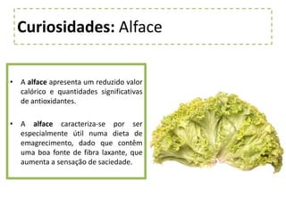 Curiosidades: AlfaceA alface apresenta um reduzido valor calórico e quantidades significativas de antioxidantes.A alface caracteriza-se por ser especialmente útil numa dieta de emagrecimento, dado que contêm uma boa fonte de fibra laxante, que aumenta a sensação de saciedade.