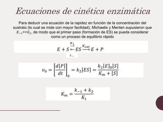Ecuaciones de cinética enzimática
𝐸 + 𝑆
𝐾1
𝐸𝑆
𝐾𝑐𝑎𝑡
𝐸 + 𝑃
𝐾−1
𝑣0 =
𝑑 𝑃
𝑑𝑡 0
= 𝑘2 𝐸𝑆 =
𝑘2 𝐸 0 𝑆
𝐾𝑚 + 𝑆
Para deducir una ecuación de la rapidez en función de la concentración del
sustrato (lo cual se mide con mayor facilidad), Michaelis y Menten supusieron que
𝐾−1>>𝐾2, de modo que el primer paso (formación de ES) se pueda considerar
como un proceso de equilibrio rápido
𝐾𝑚 =
𝑘−1 + 𝑘2
𝐾1
 