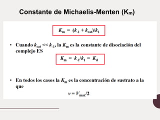Constante de Michaelis-Menten (Km)
 