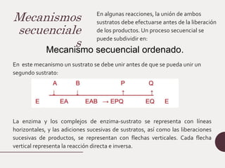 Mecanismos
secuenciale
s
En algunas reacciones, la unión de ambos
sustratos debe efectuarse antes de la liberación
de los productos. Un proceso secuencial se
puede subdividir en:
Mecanismo secuencial ordenado.
En este mecanismo un sustrato se debe unir antes de que se pueda unir un
segundo sustrato:
La enzima y los complejos de enzima-sustrato se representa con líneas
horizontales, y las adiciones sucesivas de sustratos, así como las liberaciones
sucesivas de productos, se representan con flechas verticales. Cada flecha
vertical representa la reacción directa e inversa.
 