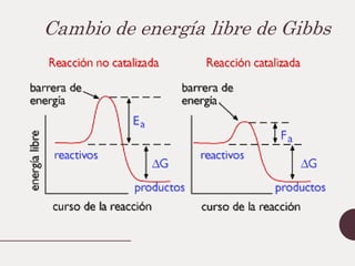 Cambio de energía libre de Gibbs
 