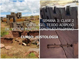 SEMANA 3: CLASE 2
CARTILAGO, TEJIDO ADIPOSO
DR. VICTOR MARTIN GONZALEZ PALOMINO
CURSO: HISTOLOGIA
 
