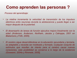 Como aprenden las personas ?  Proceso del aprendizaje: La mielina incrementa la velocidad de transmisión de los impulsos eléctricos entre neuronas durante la adolescencia y puede llegar a ser mayor después de la pubertad. El desempeño de tareas de función ejecutiva mejora linealmente con la edad (Anderson, Anderson, Northam, Jacobs y Catroppa, 2001 en Blakemore y Frith, 2005).  El cerebro sigue desarrollándose en la educación secundaria y terciaria, es adaptable y necesita ser moldeado y formado. Cualquier conjunto de estímulos que resultan de interés para el cerebro causa nuevas conexiones, esta posibilidad se conserva a lo largo de la existencia (Goswami, 2004a y Rimmele, 2005]. 
