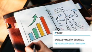 CALIDAD Y MEJORA CONTINUA
METODOLOGÍA DMAIC / SIX SIGMA
 