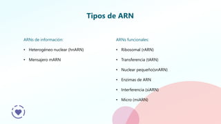 Marn Tarn Rarn Semana 3 Dogma Central de la Biología Molecular.pdf
