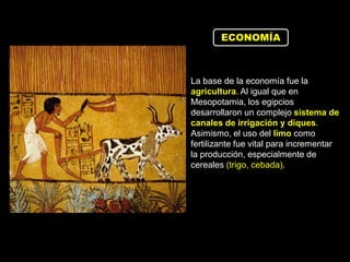 La base de la economía fue la
agricultura. Al igual que en
Mesopotamia, los egipcios
desarrollaron un complejo sistema de
canales de irrigación y diques.
Asimismo, el uso del limo como
fertilizante fue vital para incrementar
la producción, especialmente de
cereales (trigo, cebada).
ECONOMÍA
 