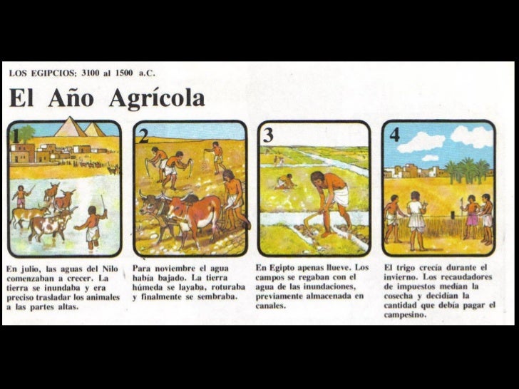 SOCIEDADLa sociedad egipcia era clasista y esclavista, y estaba jerarquizada de lasiguiente manera:        FARAÓN         ...