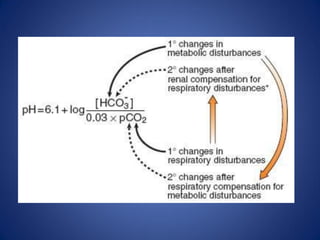 pH potencial de Hidrogeno (H)