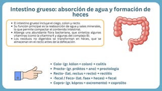 Terminología médica aplicada a las patologías del sistema digestivo y ...