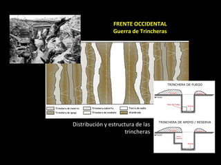 FRENTE OCCIDENTAL
                Guerra de Trincheras




Distribución y estructura de las
                     trincheras
 