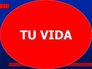 TU VIDA
   HABITOS

  ACCIONES

TU VIDA
 DECISIONES


  VALORES
 