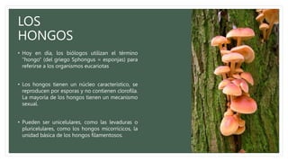 LOS
HONGOS
• Hoy en día, los biólogos utilizan el término
"hongo" (del griego Sphongus = esponjas) para
referirse a los organismos eucariotas
• Los hongos tienen un núcleo característico, se
reproducen por esporas y no contienen clorofila.
La mayoría de los hongos tienen un mecanismo
sexual.
• Pueden ser unicelulares, como las levaduras o
pluricelulares, como los hongos micorrícicos, la
unidad básica de los hongos filamentosos.
 