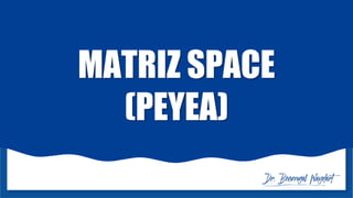 MATRIZ SPACE
(PEYEA)
 