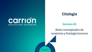 Citología
Bases conceptuales de
anatomía y fisiología humana
Semana 04
 