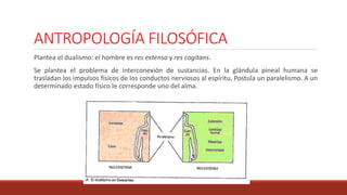 ANTROPOLOGÍA FILOSÓFICA
Plantea el dualismo: el hombre es res extensa y res cogitans.
Se plantea el problema de interconexión de sustancias. En la glándula pineal humana se
trasladan los impulsos físicos de los conductos nerviosos al espíritu. Postula un paralelismo. A un
determinado estado físico le corresponde uno del alma.
 