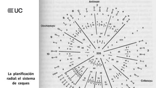 La planificación
radial: el sistema
de ceques
 