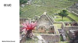 Machu Picchu (Cusco)
 