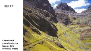 Camino inca
ascendiendo por
laderas de la
cordillera andina
 