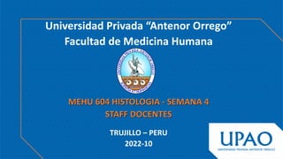 Universidad Privada “Antenor Orrego”
Facultad de Medicina Humana
MEHU 604 HISTOLOGIA - SEMANA 4
STAFF DOCENTES
TRUJILLO – PERU
2022-10
 