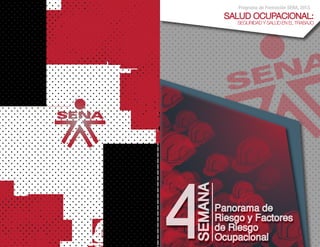 Programa de Formación SENA, 2013.
SALUD OCUPACIONAL:
SEGURIDAD Y SALUD EN EL TRABAJO
 