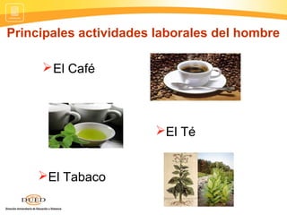 Principales actividades laborales del hombre
El Café
El Té
El Tabaco
 