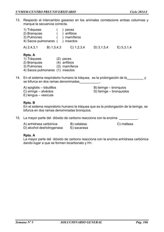 UNMSM-CENTRO PREUNIVERSITARIO Ciclo 2014-I
Semana Nº 5 SOLUCIONARIO GENERAL Pág. 106
13. Respecto al intercambio gaseoso en los animales correlacione ambas columnas y
marque la secuencia correcta.
1) Tráqueas ( ) peces
2) Branquias ( ) anfibios
3) Pulmones ( ) mamíferos
4) Sacos pulmonares ( ) insectos
A) 2,4,3,1 B) 1,5,4,3 C) 1,2,3,4 D) 3,1,5,4 E) 5,3,1,4
Rpta. A
1) Tráqueas (2) peces
2) Branquias (4) anfibios
3) Pulmones (3) mamíferos
4) Sacos pulmonares (1) insectos
14. En el sistema respiratorio humano la tráquea, es la prolongación de la_________ y
se bifurca en dos ramas denominadas___________.
A) epiglotis – lobulillos B) laringe – bronquios
C) siringe – alvéolos D) faringe – bronquiolos
E) lengua – vesícula
Rpta. B
En el sistema respiratorio humano la tráquea que es la prolongación de la laringe, se
bifurca en dos ramas denominadas bronquios.
15. La mayor parte del dióxido de carbono reacciona con la enzima __________.
A) anhidrasa carbónica B) catalasa C) maltasa
D) alcohol deshidrogenasa E) sacarasa
Rpta. A
La mayor parte del dióxido de carbono reacciona con la enzima anhidrasa carbónica
dando lugar a que se formen bicarbonato y H+.
 