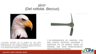 pico1
(Del celtolat. Beccus)
1. M. PARTE  SALIENTE  DE  LA  CABEZA  DE  LAS  AVES, 
COMPUESTA  DE  DOS  PIEZAS  CÓRNEAS,  UNA  SUPERIOR  Y 
OTRA INFERIOR, QUE TERMINAN GENERALMENTE EN PUNTA 
Y LES SIRVEN PARA TOMAR EL ALIMENTO.
3. M. HERRAMIENTA  DE  CANTERO,  CON 
DOS  PUNTAS  OPUESTAS  AGUZADAS  Y 
ENASTADA  EN  UN  MANGO  LARGO  DE 
MADERA,  QUE  SIRVE  PRINCIPALMENTE 
PARA DESBASTAR LA PIEDRA.
DOCENTE: MERY CORONEL MEJÍA
 
