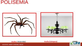 Araña ( Arácnido) Araña (Lámpara)
POLISEMIA
DOCENTE: MERY CORONEL MEJÍA
 