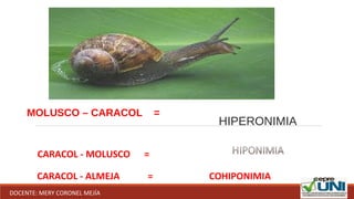 HIPERONIMIA
MOLUSCO – CARACOL =
CARACOL - MOLUSCO =
CARACOL - ALMEJA = COHIPONIMIA
DOCENTE: MERY CORONEL MEJÍA
 