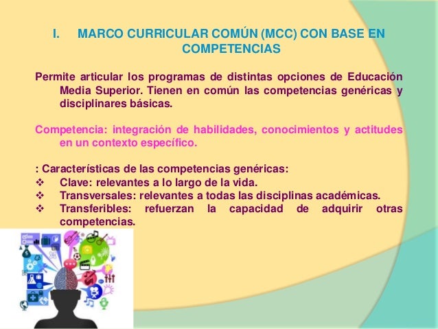 ejes de la RIEMS