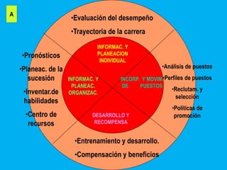 A
                       •Evaluación del desempeño
                       •Trayectoria de la carrera
                                INFORMAC. Y
    •Pronósticos                PLANEACION
                                 INDIVIDUAL
    •Planeac. de la                                     •Análisis de puestos
       sucesión       INFORMAC. Y       INCORP. Y MOVIM.•Perfiles de puestos
                        PLANEAC.         DE    PUESTOS
     •Inventar.de                                           •Reclutam. y
                      ORGANIZAC.
                                                             selección
     habilidades
                                                            •Políticas de
      •Centro de              DESARROLLO Y                   promoción
       recursos                RECOMPENSA


                        •Entrenamiento y desarrollo.
                        •Compensación y beneficios
 