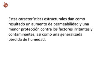 Estas características estructurales dan como
resultado un aumento de permeabilidad y una
menor protección contra los factores irritantes y
contaminantes, así como una generalizada
pérdida de humedad.
 