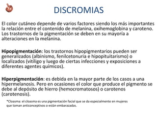 DISCROMIAS
El color cutáneo depende de varios factores siendo los más importantes
la relación entre el contenido de melanina, oxihemoglobina y caroteno.
Los trastornos de la pigmentación se deben en su mayoría a
alteraciones en la melanina.
Hipopigmentación: los trastornos hipopigmentarios pueden ser
generalizados (albinismo, fenilcetonuria e hipopituitarismo) o
localizados (vitíligo y luego de ciertas infecciones y exposiciones a
diferentes agentes químicos).
Hiperpigmentación: es debida en la mayor parte de los casos a una
hipermelanosis. Pero en ocasiones el color que produce el pigmento se
debe al depósito de hierro (hemocromatosos) o carotenos
(carotenosis).
*Cloasma: el cloasma es una pigmentación facial que se da especialmente en mujeres
que toman anticonceptivos o están embarazadas.
 