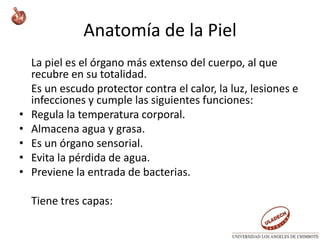 Anatomía de la Piel
La piel es el órgano más extenso del cuerpo, al que
recubre en su totalidad.
Es un escudo protector contra el calor, la luz, lesiones e
infecciones y cumple las siguientes funciones:
• Regula la temperatura corporal.
• Almacena agua y grasa.
• Es un órgano sensorial.
• Evita la pérdida de agua.
• Previene la entrada de bacterias.
Tiene tres capas:
 