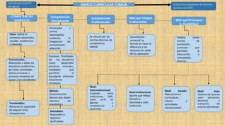 MARCO CURRICULAR COMUN Articula los programas de distintas
opciones de EMS
Constituyen el perfil
de egreso
COMPETENCIAS
GENERICAS
Transversales:
Relevantes a todas las
disciplinas académicas,
así como actividades
extracurriculares y
procesos escolares de
apoyo a los estudiantes
Clave: Aplica en
contextos personales,
sociales ,académicos
y laborales
Transferibles:
Refuerzan la capacidad
de adquirir otras
competencias
Competencias
Disciplinares
Básicas:
Conocimientos
básicos que deben
dominar los
estudiantes
Extendidas:
Responden a
objetivos
particulares
Orientadas a
ciertos
desempeños
mediante la
integración del
conocimiento
adquirido
Competencias
Profesionales
Se vincula con las
normas técnicas de
competencia
laboral
MCC que integra
la diversidad
Connotación
universal, su
función es hacer la
diferencia a las
opciones de salida
de los egresados
Expresan finalidades
de las disciplinas
como desarrollar
procesos mentales,
complejos que
permiten al
estudiante enfrentar
situaciones
complejas
MCC que Promueve
la Flexibilidad
Nivel
Interinstitucional:
Consenso entre
instituciones EMS,
sobre perfil de
egresos y
competencias a
desarrollar
Nivel Institucional:
Aporte que refleja
filosofía e
identidad a cada
institución
Implica varios
niveles de
concreción
curricular que
permiten la
adecuación a
necesidades
diversas
Nivel Escuela:
Adecuaciones
curriculares,
tutoría y
actividades
extraescolares
Nivel Aula:
Dedición del docente
sobre planeación,
desarrollo y
evaluación del
proceso aprendizaje.
 