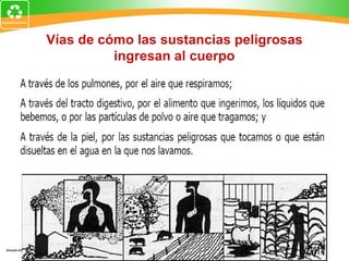 Vías de cómo las sustancias peligrosas
ingresan al cuerpo
 