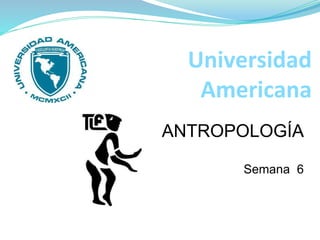 Universidad
Americana
ANTROPOLOGÍA
Semana 6
 